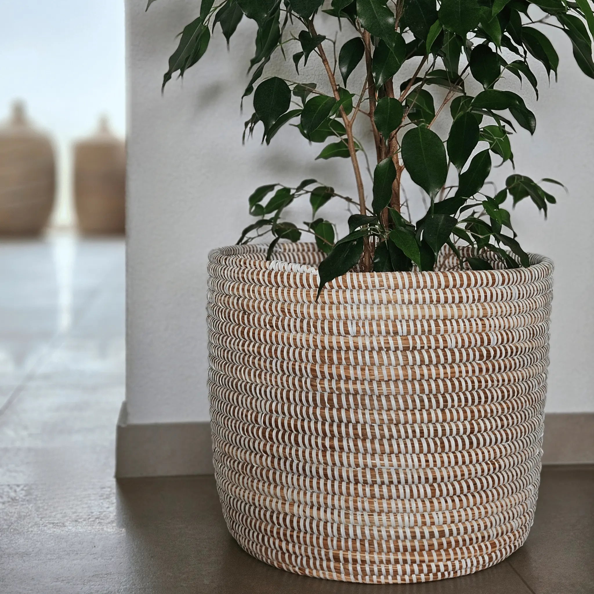 Image d'un cache-pot blanc tressé rond
