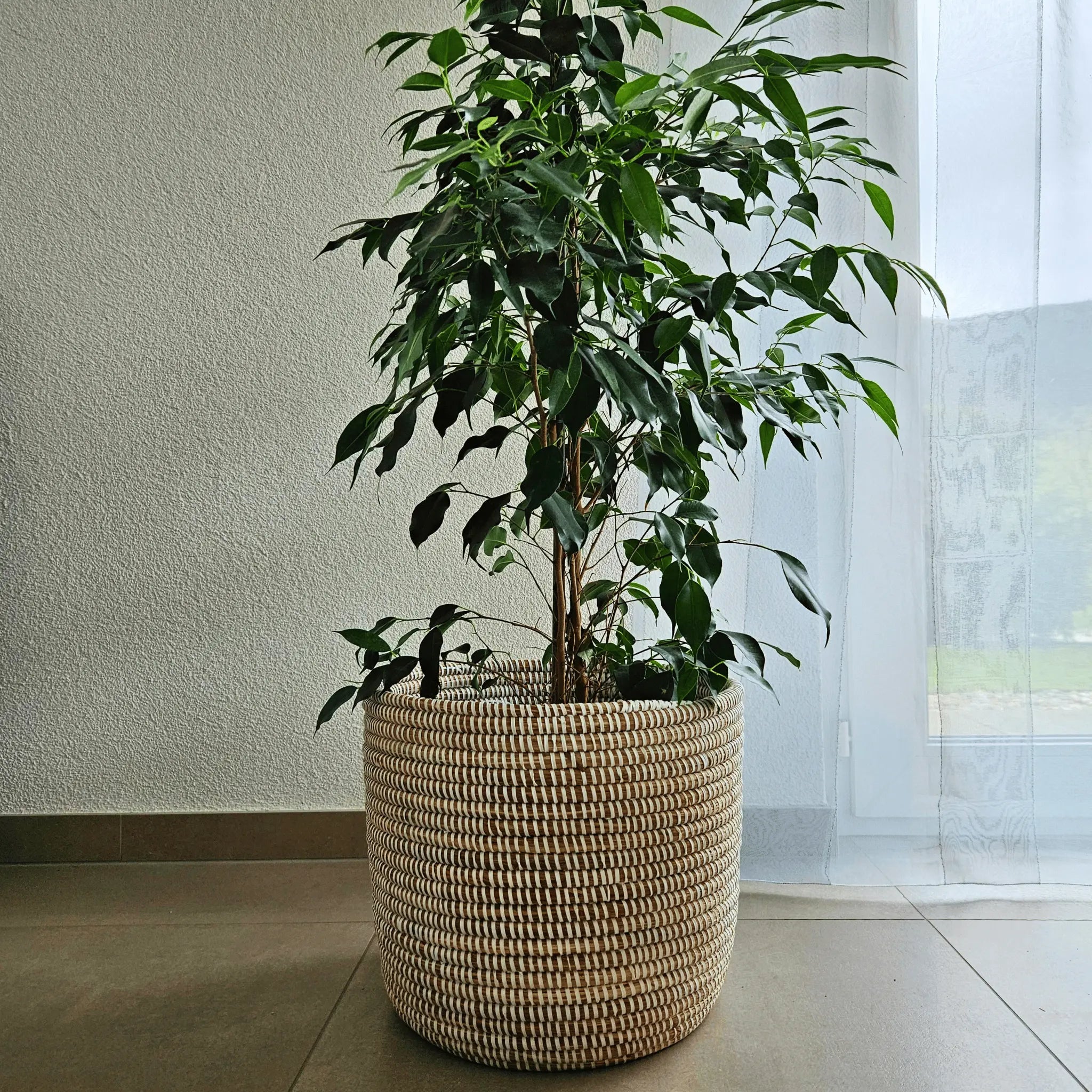 Panier de décoration SIRA AMA Gambia