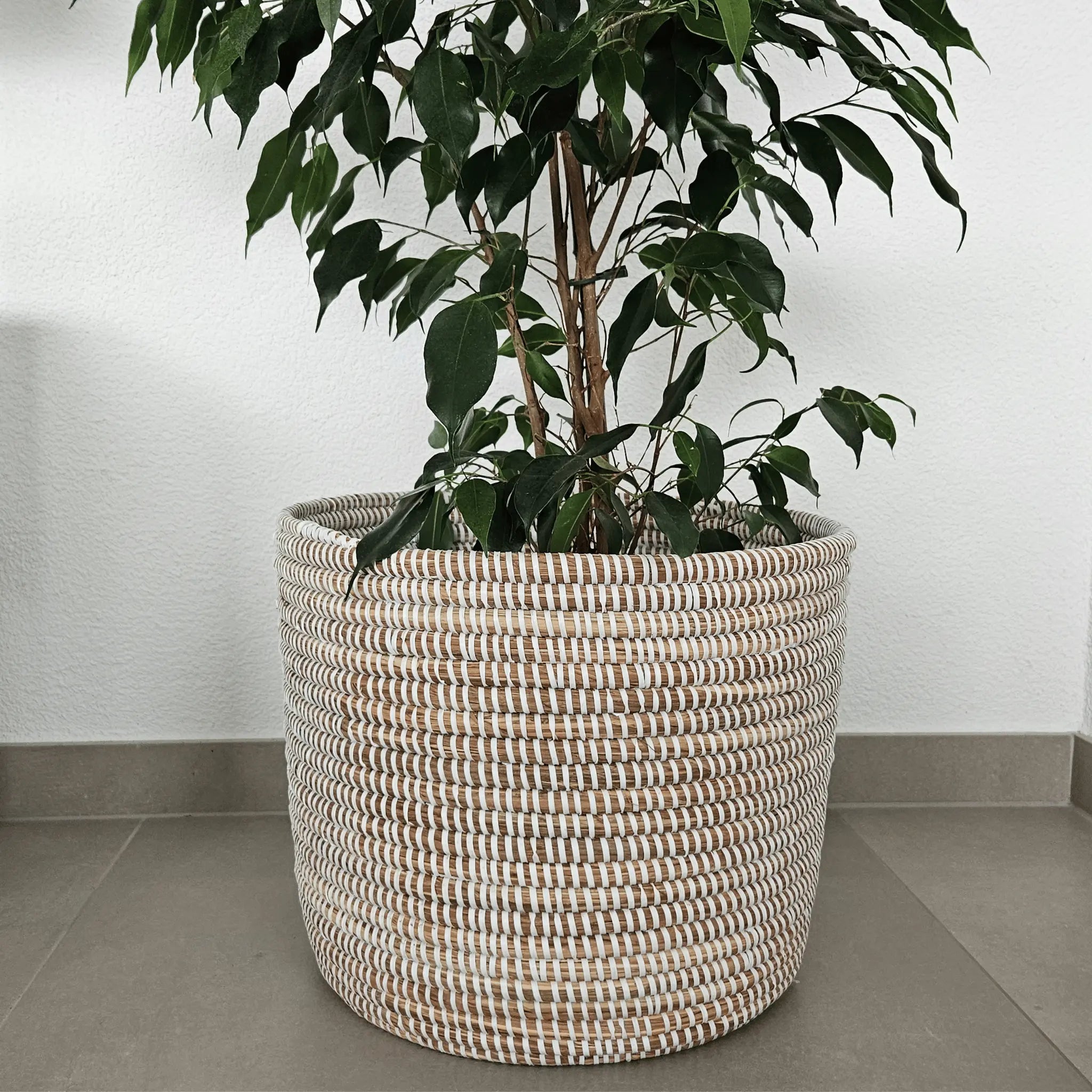 Image d'un panier de décoration utilisé comme cache-pot blanc rond tressé